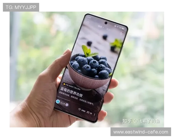 畅享游戏与追番无卡顿 高性能大内存手机推荐榜单